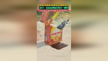 錦江區(qū)心誠(chéng)園藝場(chǎng)（錦江區(qū)心誠(chéng)園藝場(chǎng)地址）江區(qū)心誠(chéng)園藝場(chǎng)，位于市中心的綠色心臟，提供
