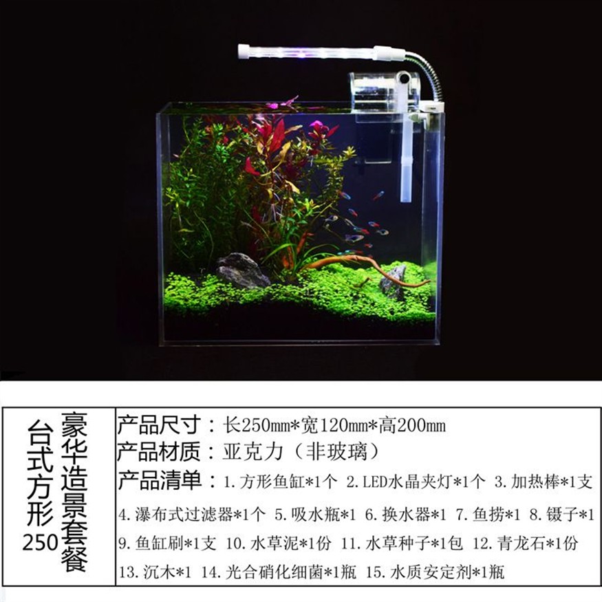 斗魚缸尺寸：斗魚缸尺寸選擇對于斗魚的健康和生活環境至關重要，魚缸尺寸選擇指南，確保斗魚健康