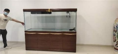 搬運(yùn)魚缸找哪家平臺(tái)好：魚缸搬運(yùn)的注意事項(xiàng)在搬運(yùn)魚缸時(shí)需要注意以下幾點(diǎn)，專業(yè)平臺(tái)，確保魚缸安全搬運(yùn)的注意事項(xiàng)