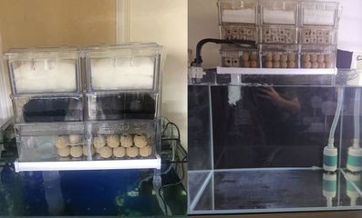 插電魚缸怎么使用：插電魚缸的使用，電魚缸的使用方法與