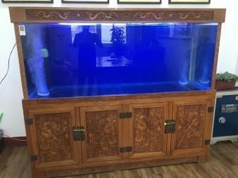 大型魚缸用什么消毒最好：大型魚缸消毒方法，魚缸消毒指南，有效