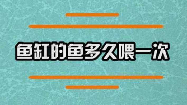 紅龍魚(yú)趴缸在水底不動(dòng)了什么原因呢（紅龍魚(yú)趴缸在水底不動(dòng)了什么原因呢視頻）龍魚(yú)趴缸不動(dòng)，探究背后的原因