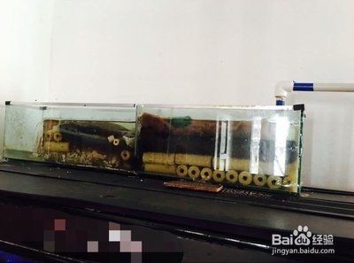 大型魚缸過濾器安裝視頻：大型魚缸過濾器安裝過程和注意事項和注意事項，專業指南，如何安裝大型魚缸過濾器及其