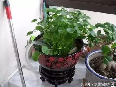 大魚缸過濾棉：關于大魚缸過濾棉的一些推薦和使用指南，魚缸過濾棉選擇與使用指南，提升水質，優化養魚