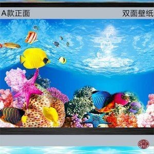 玻璃粘魚缸需要多少錢：玻璃粘魚缸成本計算，粘魚缸制作成本詳解，估算與預算 玻璃粘魚缸需要多少錢：玻璃粘魚缸成本計算，粘魚缸制作成本詳解，估算與預算 魚缸百科 第3張