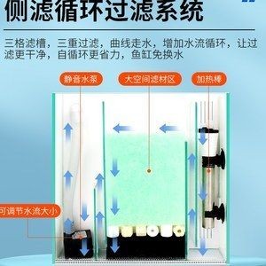 玻璃魚缸過濾系統(tǒng)：玻璃魚缸的日常保養(yǎng)與護理，魚缸維護指南，確保水質(zhì)純凈的過濾系統(tǒng)使用與保養(yǎng)技巧