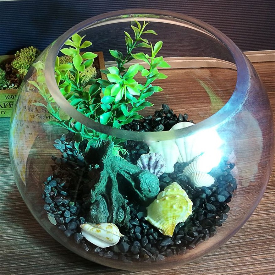 玻璃圓魚缸造景效果圖：玻璃圓魚缸造景效果圖玻璃圓魚缸造景技巧魚缸造景技巧，圓魚缸造景技巧，打造自然生態 玻璃圓魚缸造景效果圖：玻璃圓魚缸造景效果圖玻璃圓魚缸造景技巧魚缸造景技巧，圓魚缸造景技巧，打造自然生態 魚缸百科 第4張