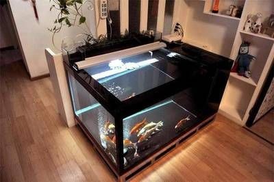 1米2缸養金龍需要多大的功率過濾，1.2米金龍魚缸養金龍需要哪些濾材，1米2缸養金龍需要哪些濾材