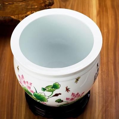 茶水倒入魚缸魚會(huì)死嗎視頻播放：探討茶水倒入魚缸會(huì)導(dǎo)致魚的死亡之前，水倒入魚缸，探究可能導(dǎo)致魚類死亡的