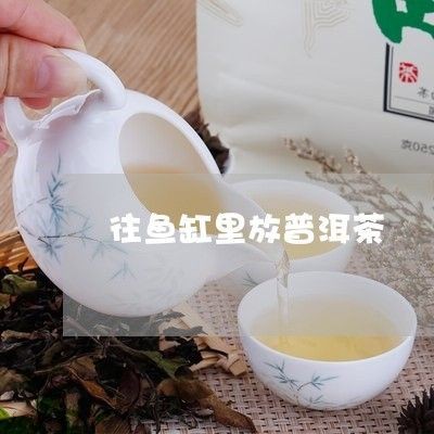 茶水倒入魚缸魚會(huì)死嗎視頻播放：探討茶水倒入魚缸會(huì)導(dǎo)致魚的死亡之前，水倒入魚缸，探究可能導(dǎo)致魚類死亡的