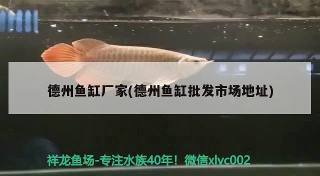 <strong><mark>德州</mark></strong>魚缸廠家(<strong><mark>德州</mark></strong>魚缸批發市場地址)魚缸批發中心，一站式采購，專業定制