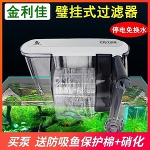 北海市海城區天天水族行（北海林天天海鮮）市海城區新星——天天水族