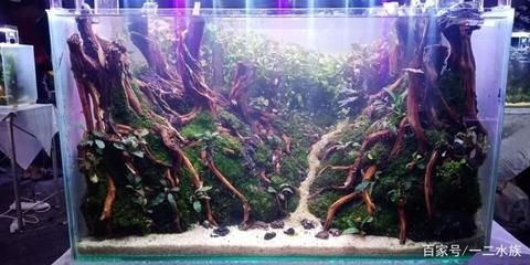 玻璃魚(yú)缸制作視頻：玻璃魚(yú)缸制作教程，魚(yú)缸制作教程，從零開(kāi)始打造你的