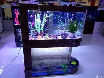 打造魚缸生態圈的方法有哪些：如何打造一個生態魚缸生態圈，生態魚缸打造，構建完美水族生態系統