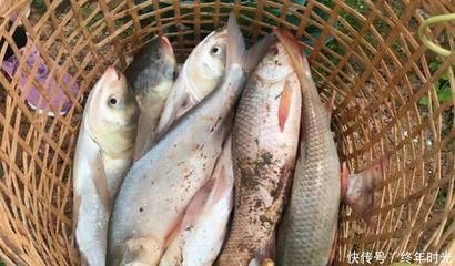 不能送魚缸什么意思呢：風水魚缸送人的注意事項破損的魚缸不宜送人，否則會影響財運，禁忌，送魚缸時需注意的事項，破損魚缸不宜贈