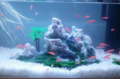 大大的魚缸里有幾條金魚在游動(dòng)把畫面寫具體：金魚們在魚缸里自由自由自在地游動(dòng)，魚在自由游動(dòng)的魚缸中，生動(dòng)描繪金魚自在
