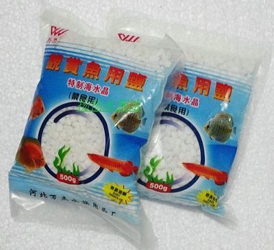 沾化縣亮點水族店（沾化縣亮點水族店地址）化縣亮點水族店，探索海洋生物的奧秘，享受