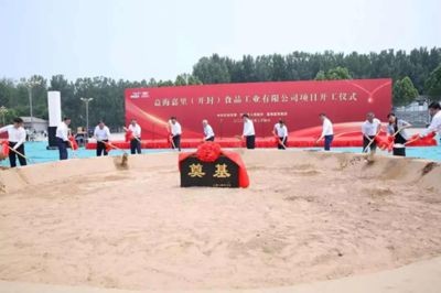金龍魚項目背景，龍魚項目，探索中國農(nóng)業(yè)現(xiàn)代化的