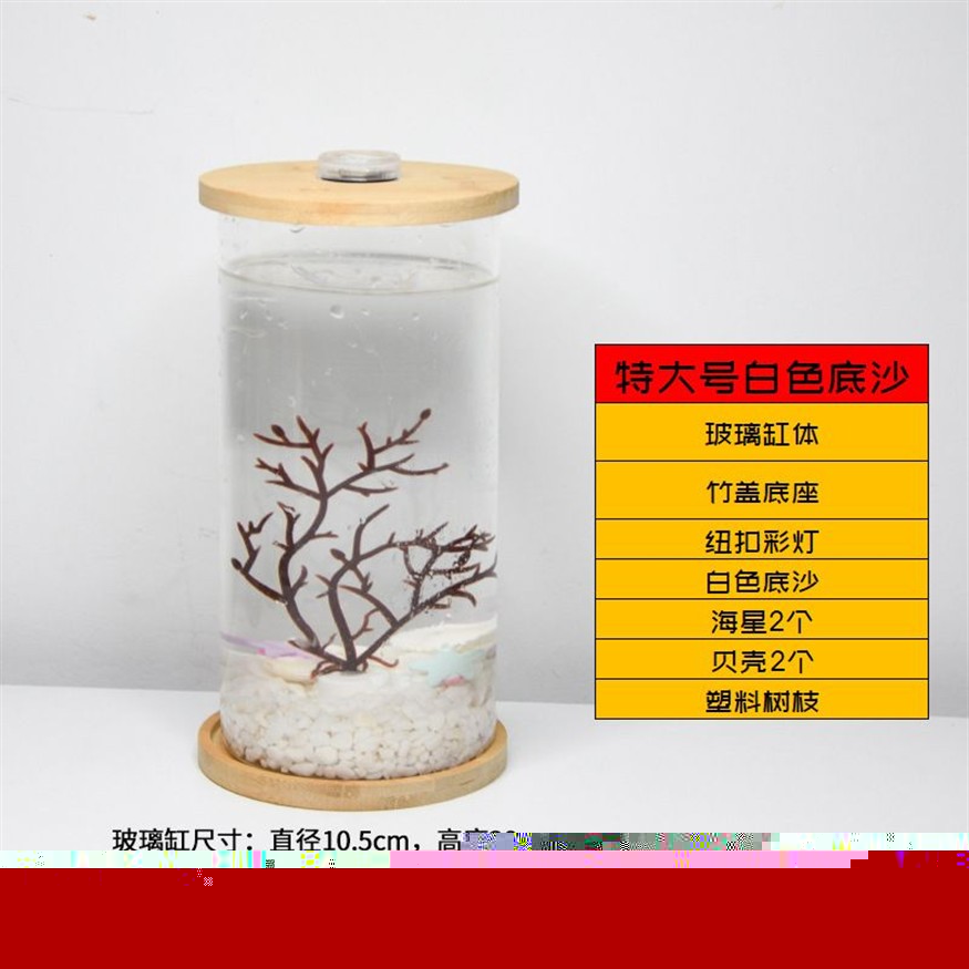 斗魚缸鋪什么底沙：如何正確清洗魚缸底砂，掌握技巧，正確清洗魚缸底砂，打造完美水族環境