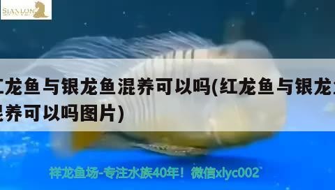 有哪些藥物可以治療浮頭，“浮游性水腫”是一種常見(jiàn)的癥狀