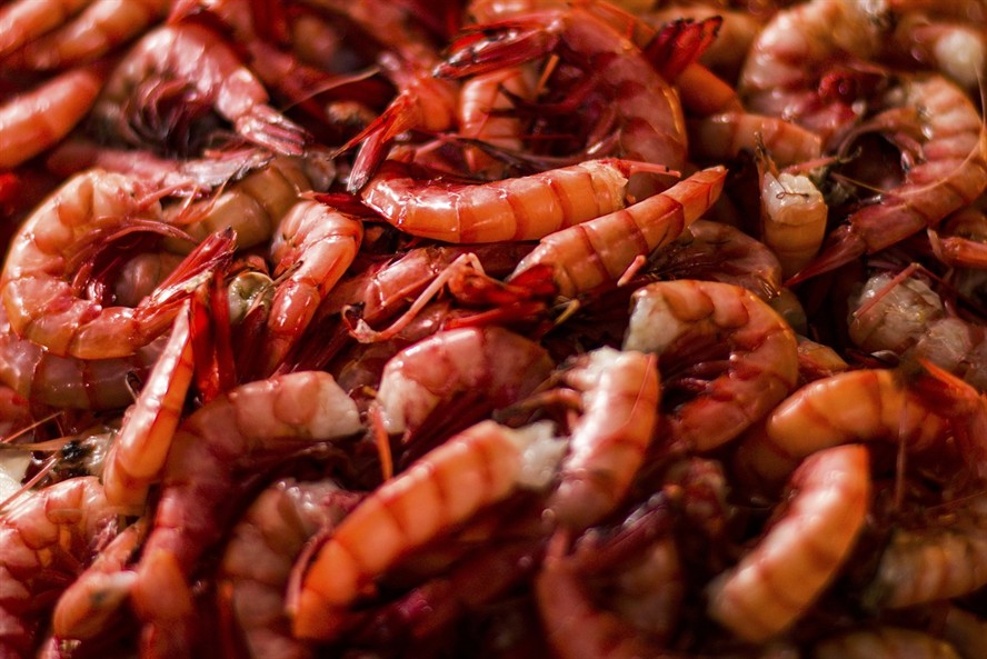 老虎魚海鮮(海鮮虎魚圖片及價格)魚海鮮市場，探索美味與價格的