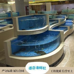 出售紅龍魚(yú)在哪里賣(mài)（出售紅龍魚(yú)在哪里賣(mài)的）龍魚(yú)買(mǎi)賣(mài)指南，在哪里可以購(gòu)買(mǎi)到心儀的紅龍魚(yú)？