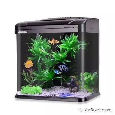 超白魚缸去哪買好一點的：優質的超白魚缸品牌和購買建議，超白魚缸，頂級品牌推薦與購買
