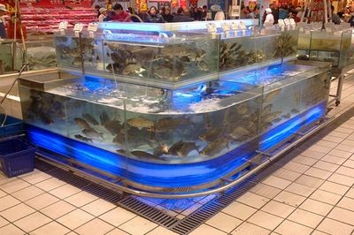 超市魚缸水溫多少度合適養(yǎng)魚蝦：超市魚缸養(yǎng)淡水魚夏天溫度一般在23--27左右，魚缸養(yǎng)魚蝦適宜水溫，夏季23-27度