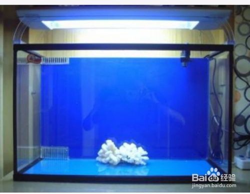 安陽高新區聚源水族行（安陽高新區聚源水族行政區劃）高新區聚源水族行政區劃，探索自然生態與城市