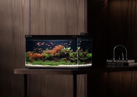 雙流縣新興樂新水族館（雙流縣新興樂新水族館電話）雙流縣新興樂新水族館，一個(gè)充滿海洋奧秘