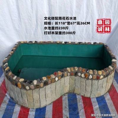 廣州市白云新市潔怡水族花卉行，市白云區新市潔怡水族花卉行，專業水族