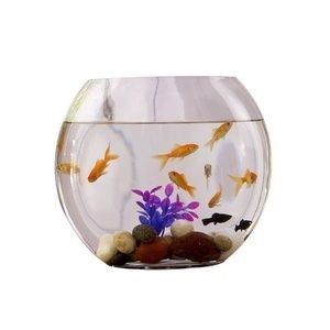 白水晶可以放魚缸嗎：白水晶可以放入魚缸中嗎？水晶在魚缸中的擺放，探索水晶與水族箱的和諧
