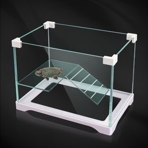 白水晶可以放魚缸嗎：白水晶可以放入魚缸中嗎？水晶在魚缸中的擺放，探索水晶與水族箱的和諧