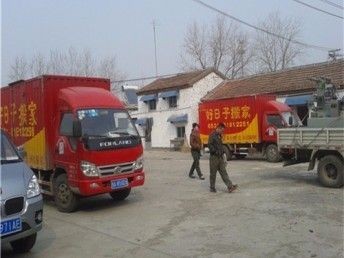 搬家搬魚缸有什么講究嗎：搬家搬魚缸注意事項以及搬運后的注意事項以及注意事項，時搬動魚缸的