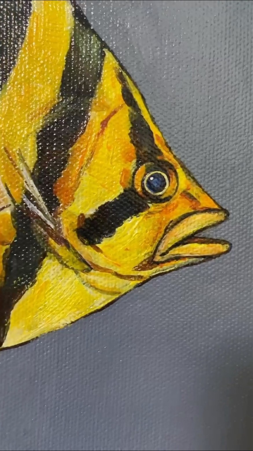 龍魚畫多了來幾幅小泰虎魚調整一下泰，魚畫藝，小泰虎魚的加入，為畫面帶來