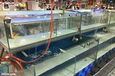 超市賣淡水魚專用魚缸多少錢一個：超市淡水魚專用魚缸價格，淡水魚專用魚缸價格一覽，選購指南