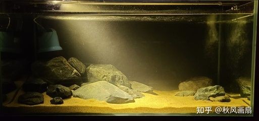 大魚缸改造：大魚缸怎么改造？魚缸改造指南，打造多功能水族箱