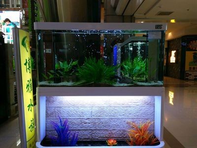 大型魚缸怎么運輸的：大型魚缸搬運方法，魚缸運輸全攻略，安全搬運技巧與 大型魚缸怎么運輸的：大型魚缸搬運方法，魚缸運輸全攻略，安全搬運技巧與 魚缸百科 第3張