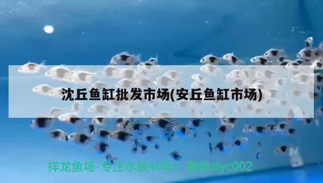 沈丘魚缸批發市場(安丘魚缸市場)丘魚缸批發市場，安丘市場引領水