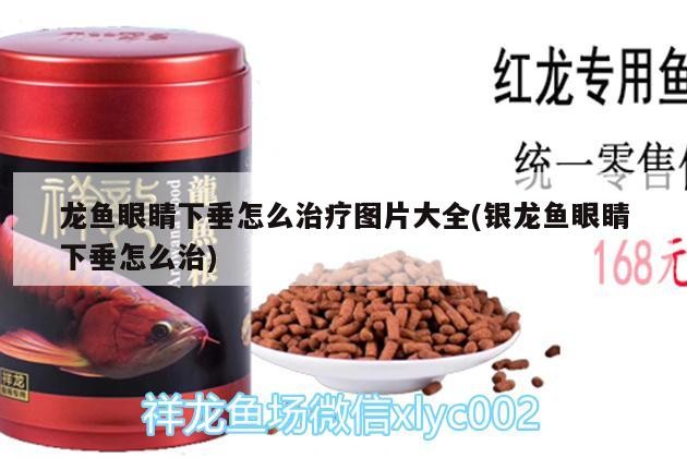 龍魚眼睛下垂怎么治療圖片大全(銀龍魚眼睛下垂怎么治)魚眼睛下垂治療指南，銀龍魚案例分析與圖片集 龍魚眼睛下垂怎么治療圖片大全(銀龍魚眼睛下垂怎么治)魚眼睛下垂治療指南，銀龍魚案例分析與圖片集 銀龍魚百科 第2張