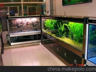 玻璃魚缸加工：玻璃魚缸加工企業(yè)介紹玻璃魚缸加工企業(yè)介紹，魚缸加工企業(yè)概覽，專業(yè)制造與 玻璃魚缸加工：玻璃魚缸加工企業(yè)介紹玻璃魚缸加工企業(yè)介紹，魚缸加工企業(yè)概覽，專業(yè)制造與 魚缸百科 第3張