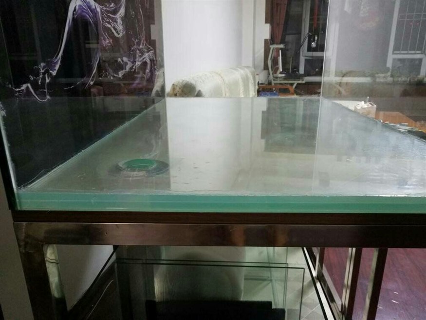 玻璃膠粘的魚缸能用多久啊：玻璃膠粘接魚缸的使用壽命，膠粘接魚缸使用壽命解析，長期耐用性