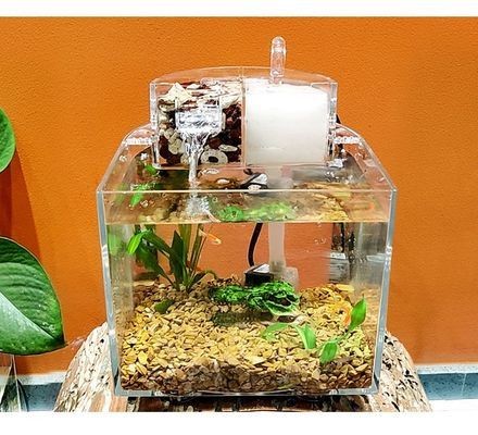 新會區會城魚立方水族館（新會城南魚莊）會區會城魚立方水族館盛大開幕，南魚