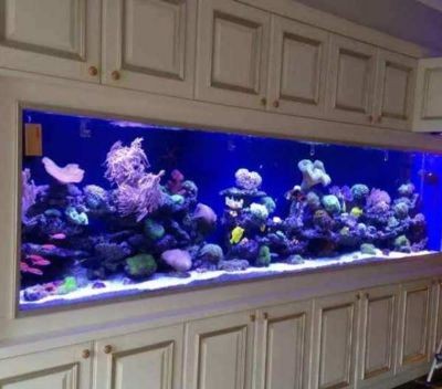 玻璃魚缸漏水怎么快速處理辦法視頻：玻璃魚缸漏水怎么辦，解決玻璃魚缸漏水問題 玻璃魚缸漏水怎么快速處理辦法視頻：玻璃魚缸漏水怎么辦，解決玻璃魚缸漏水問題 魚缸百科 第3張