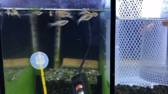 濟南市歷城區華瑞花卉水族產品經營部（濟南市歷城區華瑞花卉水族產品經營部電話）市歷城區華瑞花卉水族產品經營部聯系方式與服務簡介