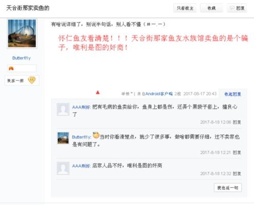 大魚缸在哪買比較好：大型魚缸的購買方法，大型魚缸，專家指南