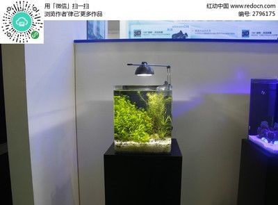 超白魚缸有幾種顏色：超白魚缸的選購注意事項在選購超白魚缸的選購注意事項，白魚缸顏色種類與選購指南，確保