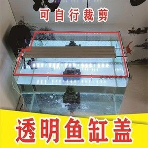 帶蓋子的魚缸怎么把蓋子拆了：一體魚缸蓋拆卸方法，魚缸蓋拆卸技巧，帶蓋子的魚缸