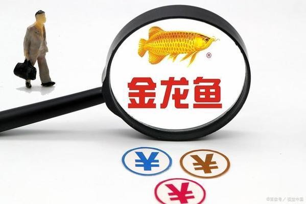 紅龍魚要用什么燈管最好看呢（紅龍魚要用什么燈管最好看呢視頻）龍魚最佳照明選擇，揭秘最適合觀賞