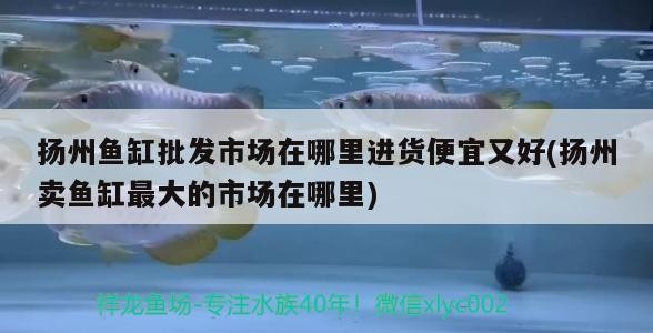 彩蝶魚缸是什么意思，2018最新彩蝶魚缸品牌排行榜